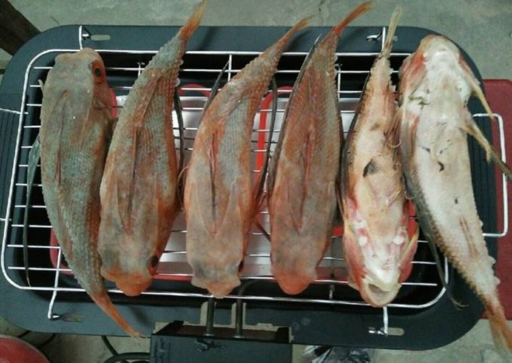 Loai ca tung bi che, khong may nguoi an, nay len doi 300.000/kg-Hinh-5