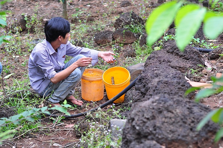 Loai nhin dang so ai cung tranh xa khong ngo la dac san-Hinh-5