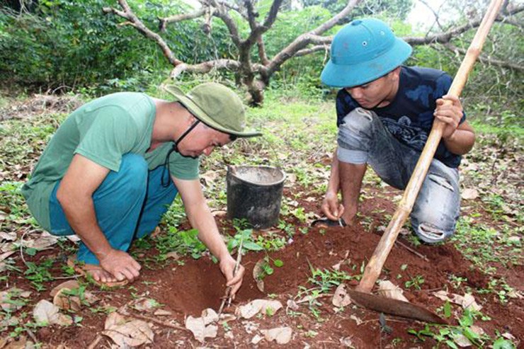 Loai nhin dang so ai cung tranh xa khong ngo la dac san-Hinh-9