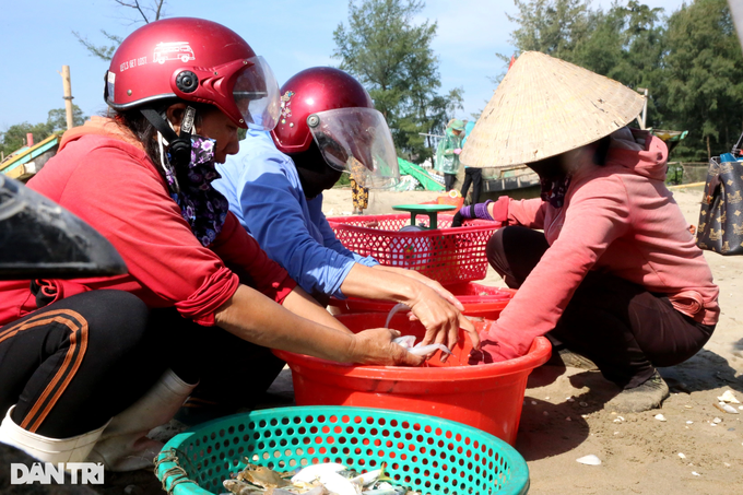 Loai ca tung bo di nay thuong lai tranh nhau mua-Hinh-2