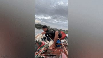 Video: Ngu dan bat duoc ca khong lo nang 150kg tren song Mekong