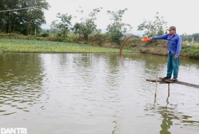 Nuoi loai ca hau an, anh nong dan thu lai 