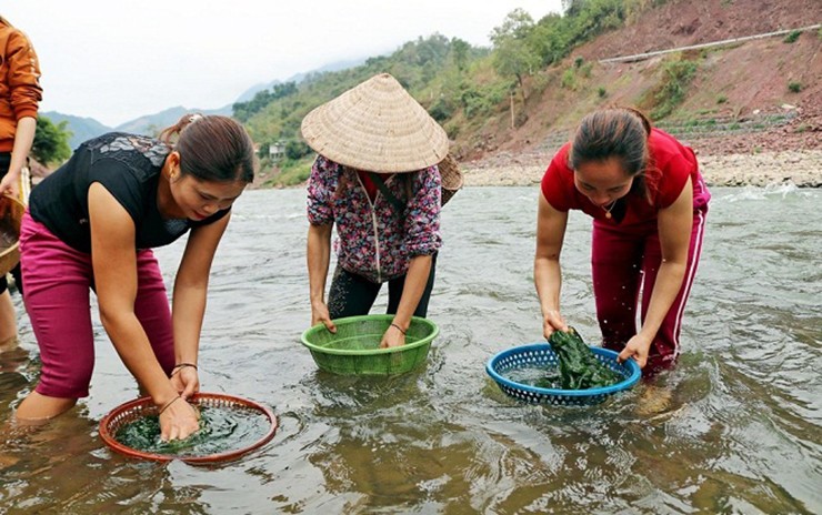 Dac san moc dai tren da o Viet Nam, vot ve kiem nua trieu/ngay-Hinh-3