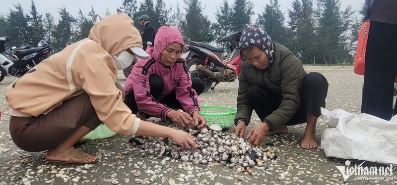 'Loc troi' noi len khi bien dong, ca lang ho nhau di vot-Hinh-2