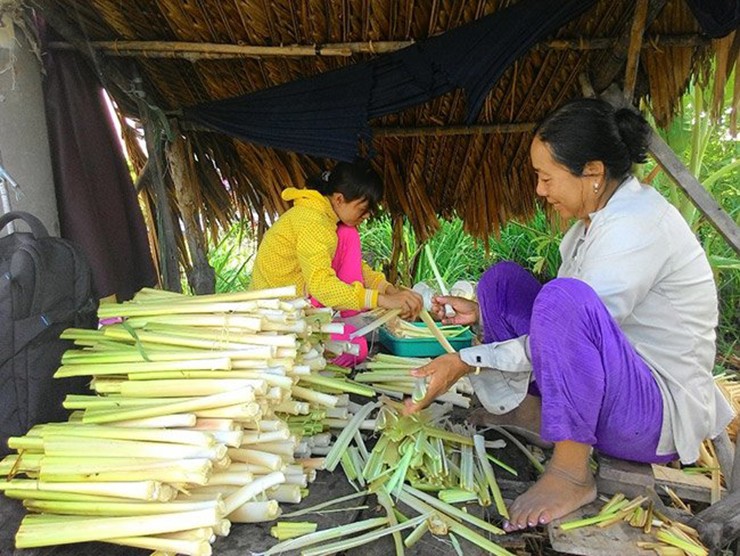 Cay dai o VN, truoc nho bo nay dan hai ban kiem tien trieu/ngay-Hinh-9