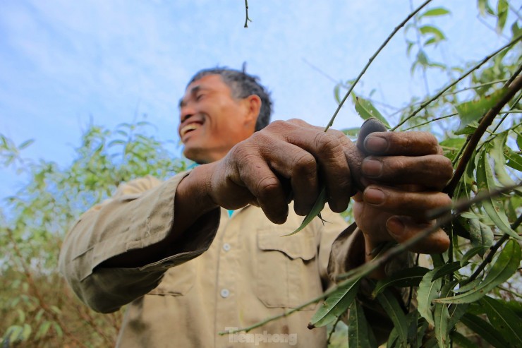 Muc so thi nghe hai ra tien dip Tet-Hinh-13