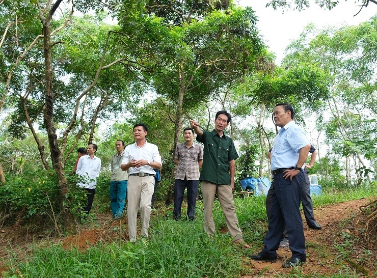 Trong cay nay tren vung dat kho, lao nong Ha Giang thu ty dong/vu-Hinh-3