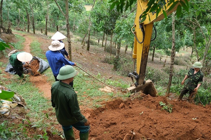 Trong cay nay tren vung dat kho, lao nong Ha Giang thu ty dong/vu-Hinh-5