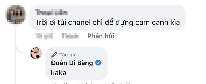 Doan Di Bang sam tui xach dat do chi de dung hoa qua-Hinh-2
