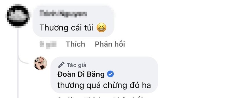 Doan Di Bang sam tui xach dat do chi de dung hoa qua-Hinh-3