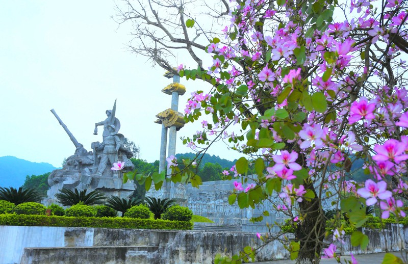 Dep nao long hoa ban o chung tich huyen thoai Truong Bon-Hinh-3