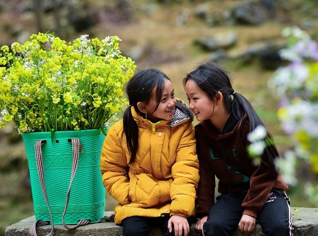 O Ha Giang hoa cai vang dep nhu mong hut du khach-Hinh-3