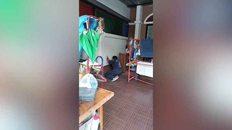 Video: Co gai dung tay khong tom gon ran ho mang cuc doc