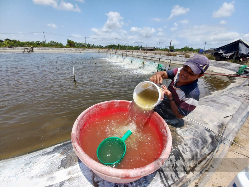 Nuoi ca dua, nong dan vung Can Gio nha nao cung giau