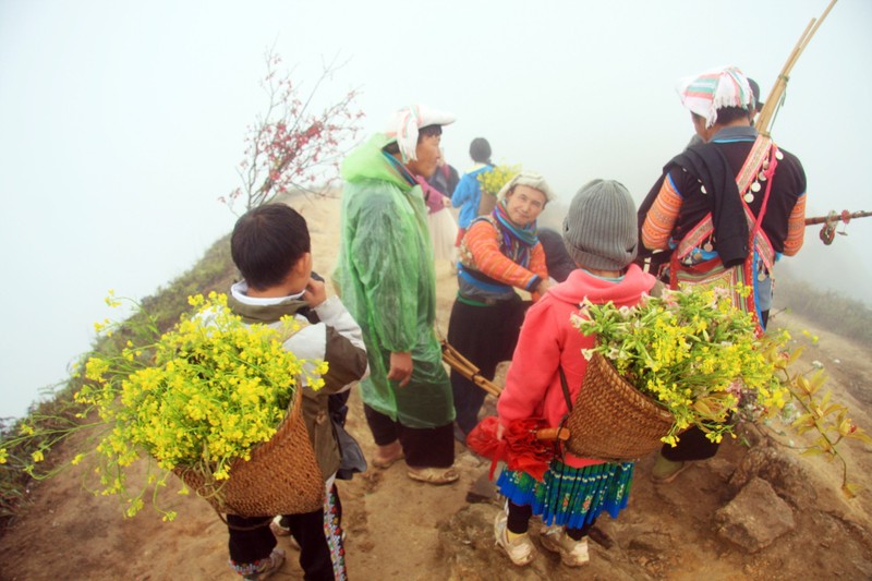 Tà Xùa, xứ sở trong sương ảnh 4