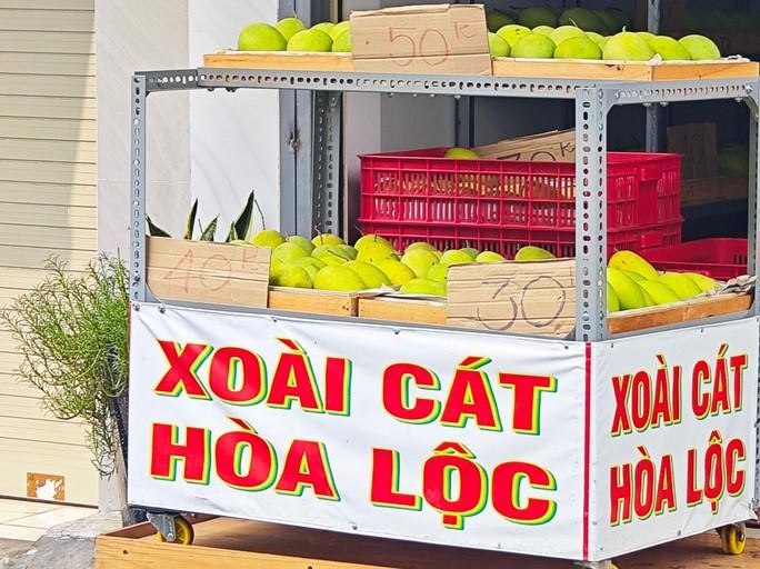 Xoai cat Hoa Loc gia re chua tung co-Hinh-4