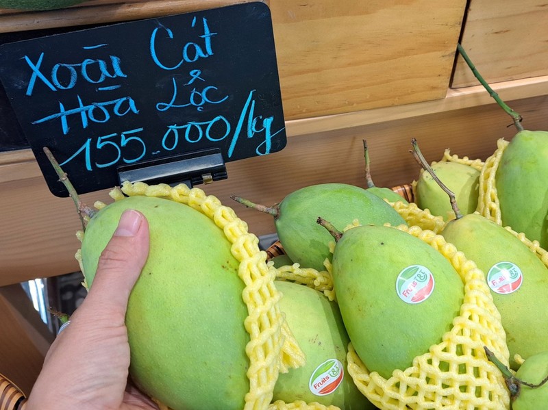 Vi sao xoai cat Hoa Loc rot gia con 30.000 dong/kg?