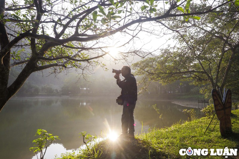 Hang van canh buom du sac mau phu khap Vuon quoc gia Cuc Phuong-Hinh-8