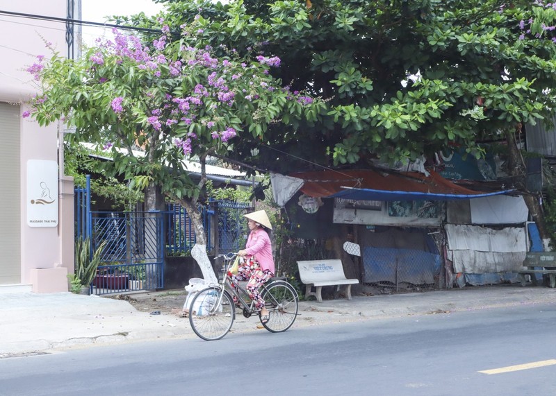 Ve xu dua ngam hoa bang lang khoe sac tim nao long-Hinh-13