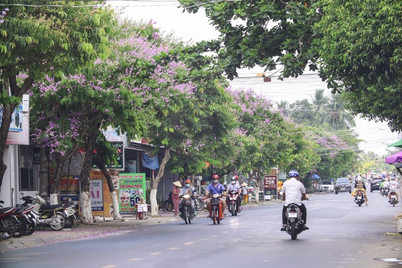 Ve xu dua ngam hoa bang lang khoe sac tim nao long-Hinh-2