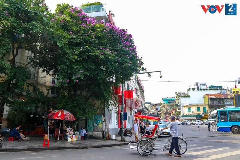 Lang man sac tim bang lang tren pho phuong Ha Noi-Hinh-9