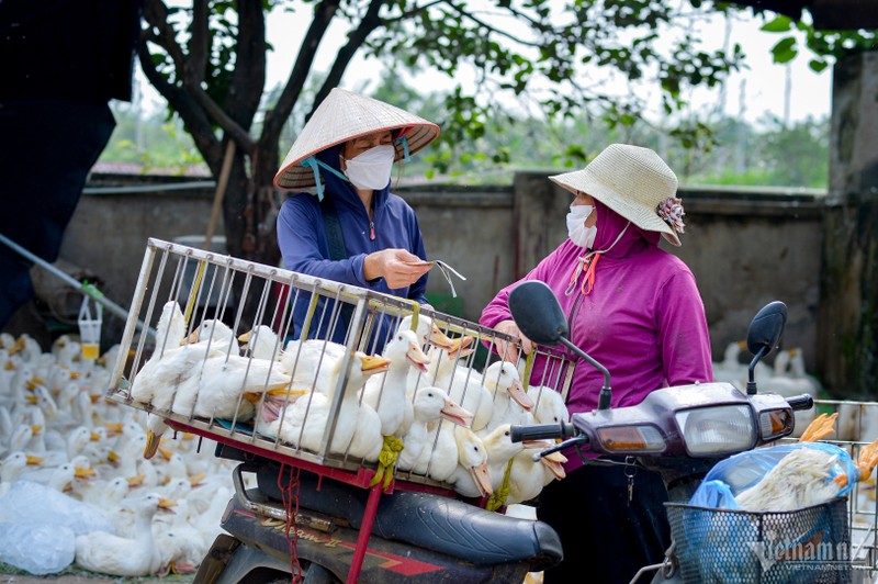 Noi buon nong dan: Gia nong san giam, nguyen lieu dau vao tang