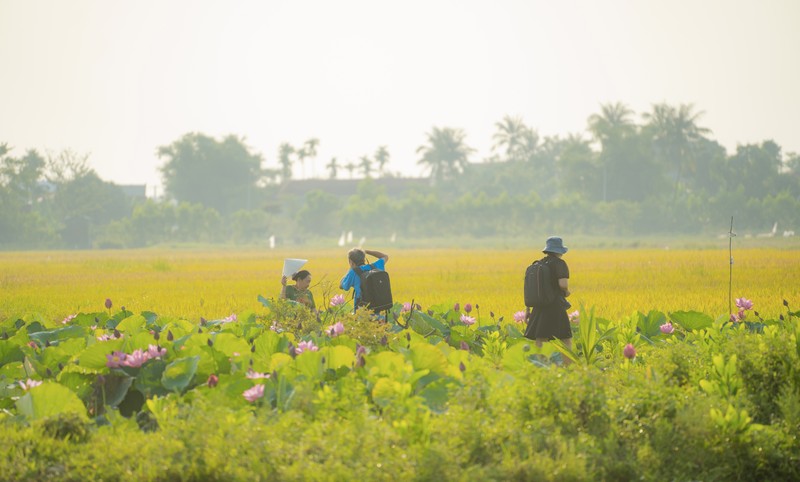 Diem den trong nuoc ngap sac hoa dip he-Hinh-4