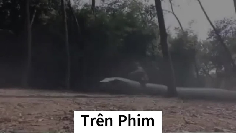 Video: Su that canh ran khong lo truy duoi nguoi trong phim Trung Quoc
