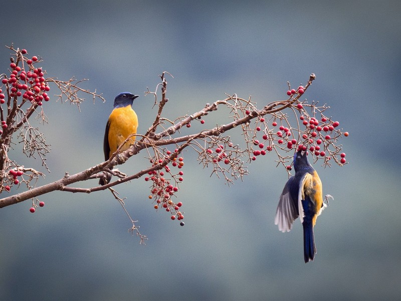 Sinh thang Am lich nay co su nghiep vung vang, tuong lai ruc ro-Hinh-2