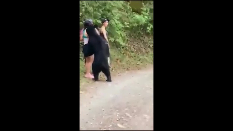 Video: Co gai cham tran gau den khong lo giua duong va cai ket