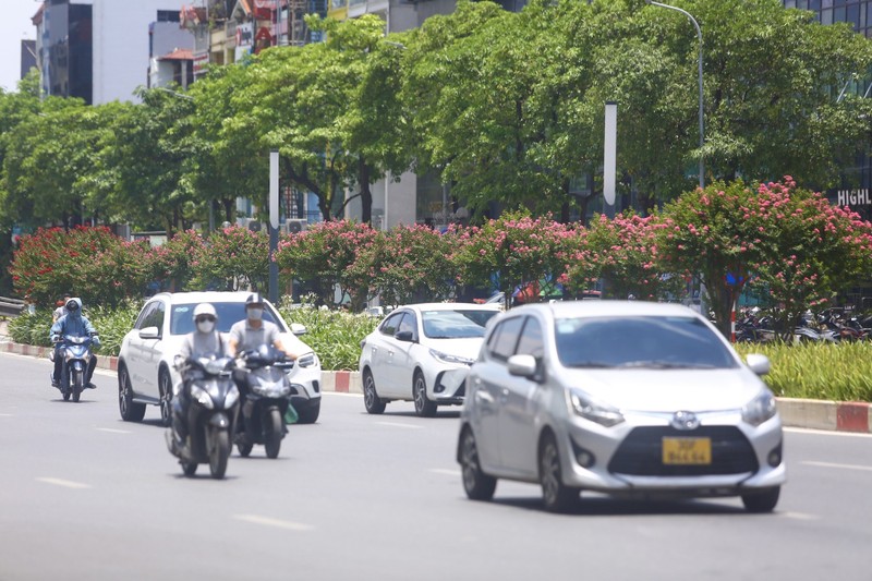 Duong hoa tuong vi no ro, khoe sac giua pho Ha Noi-Hinh-14