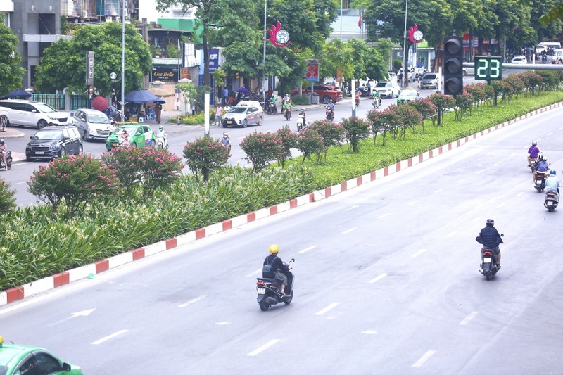 Duong hoa tuong vi no ro, khoe sac giua pho Ha Noi-Hinh-2