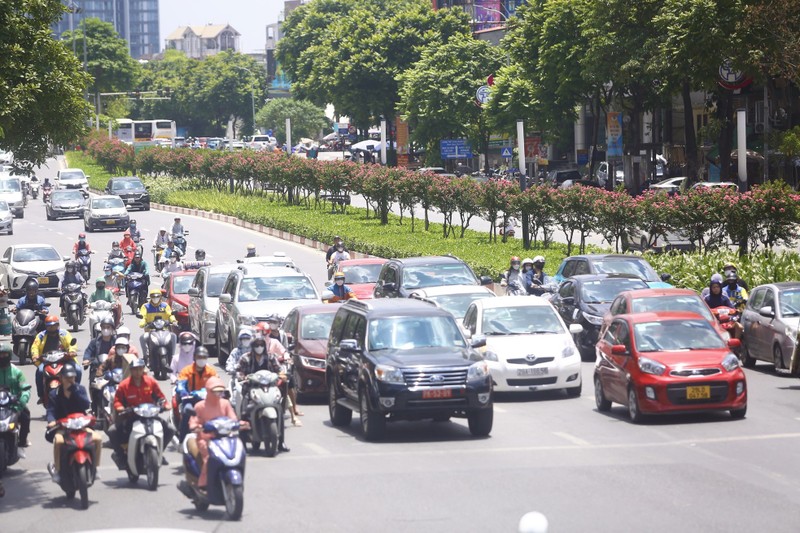 Duong hoa tuong vi no ro, khoe sac giua pho Ha Noi