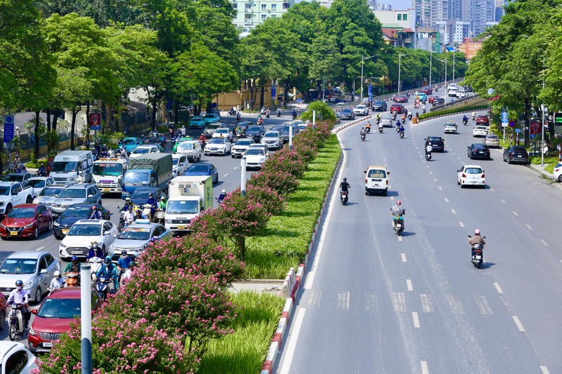 Gioi tre thich thu khoe sac ben hoa tuong vi no ro