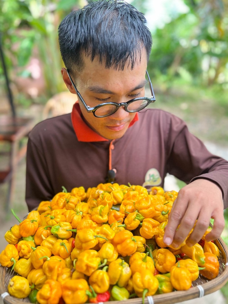 Thac si bo viec luong nghin USD ve que khoi nghiep voi ot-Hinh-6