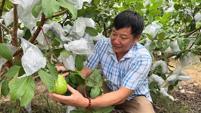 Nguoi dan doi doi nho trong oi le