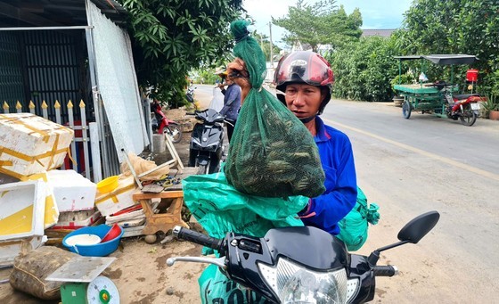 Nuoc tran dong o Dong Thap Muoi, dan di bat san vat kiem 1 trieu/ngay-Hinh-6