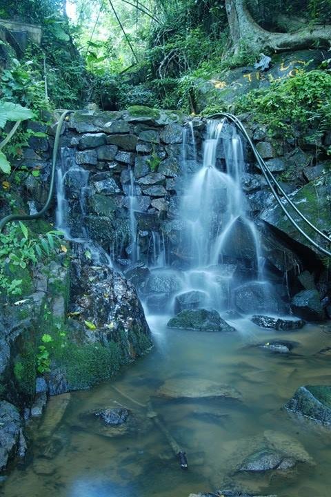 Tuyet sac linh thieng vung Nui Cam-Hinh-4