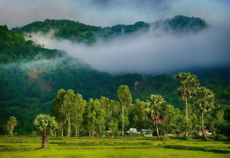 Tuyet sac linh thieng vung Nui Cam