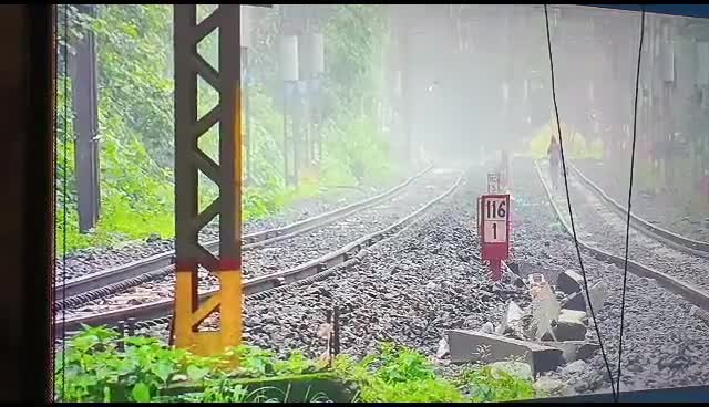 Cham tran ho du tren duong ray, nguoi dan ong bo chay thuc mang