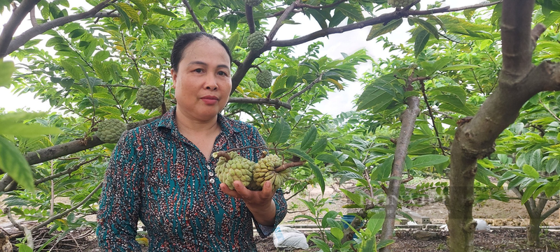 Na bo xua bi che, nay o mot noi cua Hai Phong hoa dac san-Hinh-2