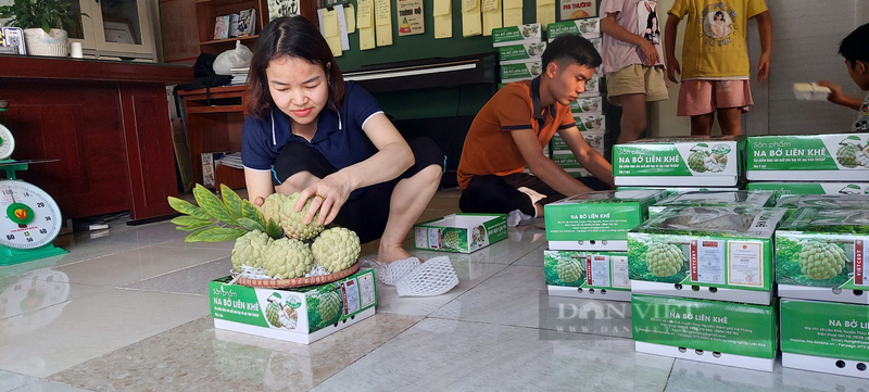 Na bo xua bi che, nay o mot noi cua Hai Phong hoa dac san-Hinh-5