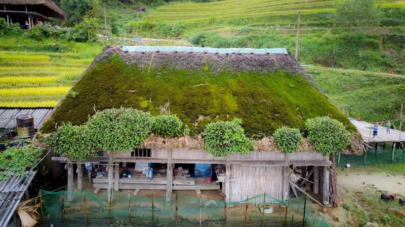 Den Xa Phin ngam lua vang, tham nhung mai nha phu reu xanh-Hinh-2