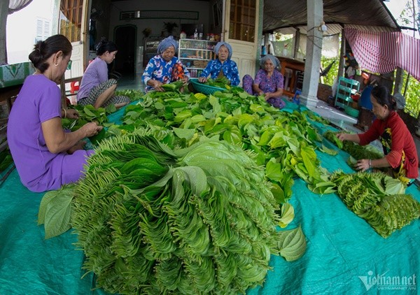 Lang trau lon nhat mien Tay-Hinh-8