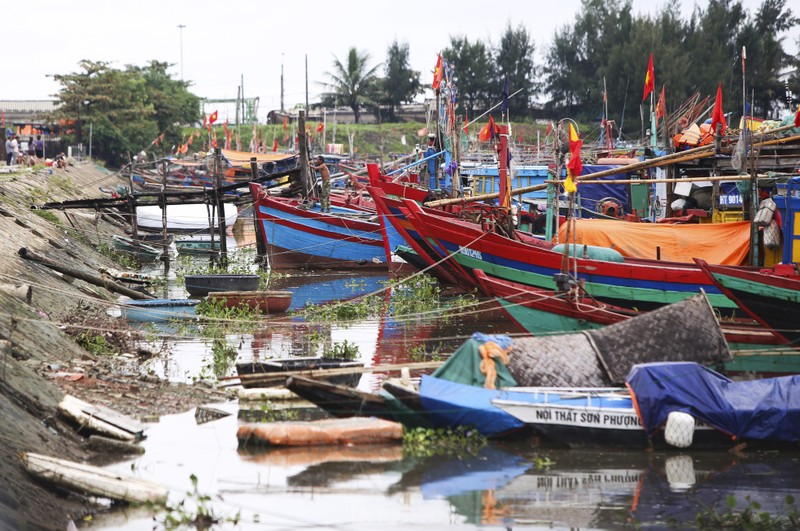 Ngu dan Ha Tinh vuon khoi thu 