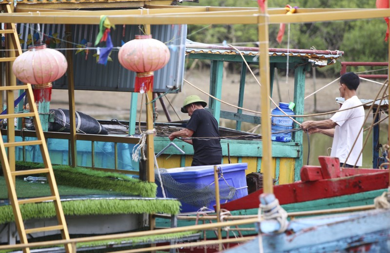 Ngu dan Ha Tinh vuon khoi thu 