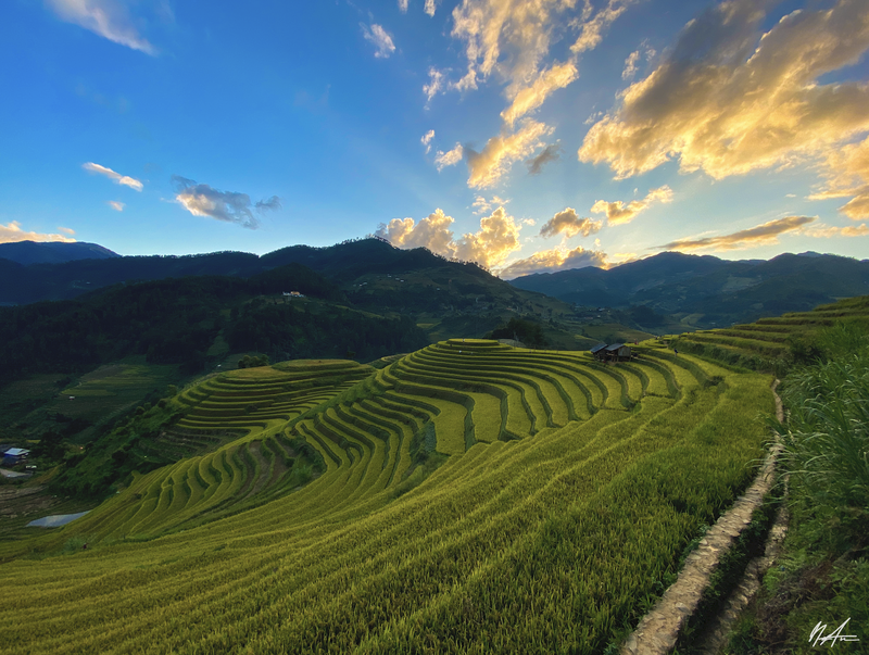 Du khach nuom nuop do ve Mu Cang Chai 