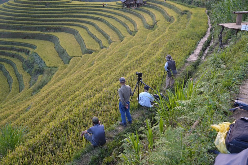 Du khach nuom nuop do ve Mu Cang Chai 