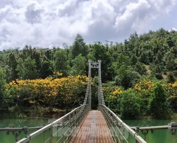 Phuong vang phu sac, cau treo o Dak Nong dep nhu tranh-Hinh-3