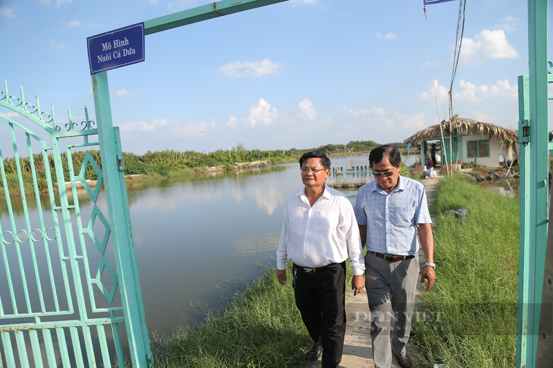 Tu nuoi tom den ca dua, nong dan Can Gio thanh “dai gia” nuc tieng-Hinh-2